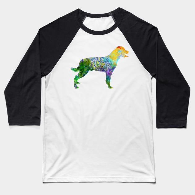 Rottweiler Baseball T-Shirt by erzebeth